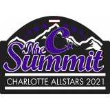 The Summit 2021 Custom Bag Tag Design: Charlotte Allstars